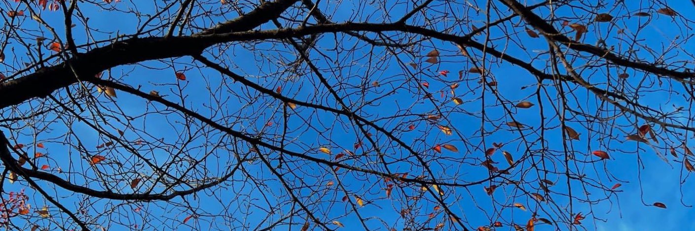 _STTSTTS's profile banner image