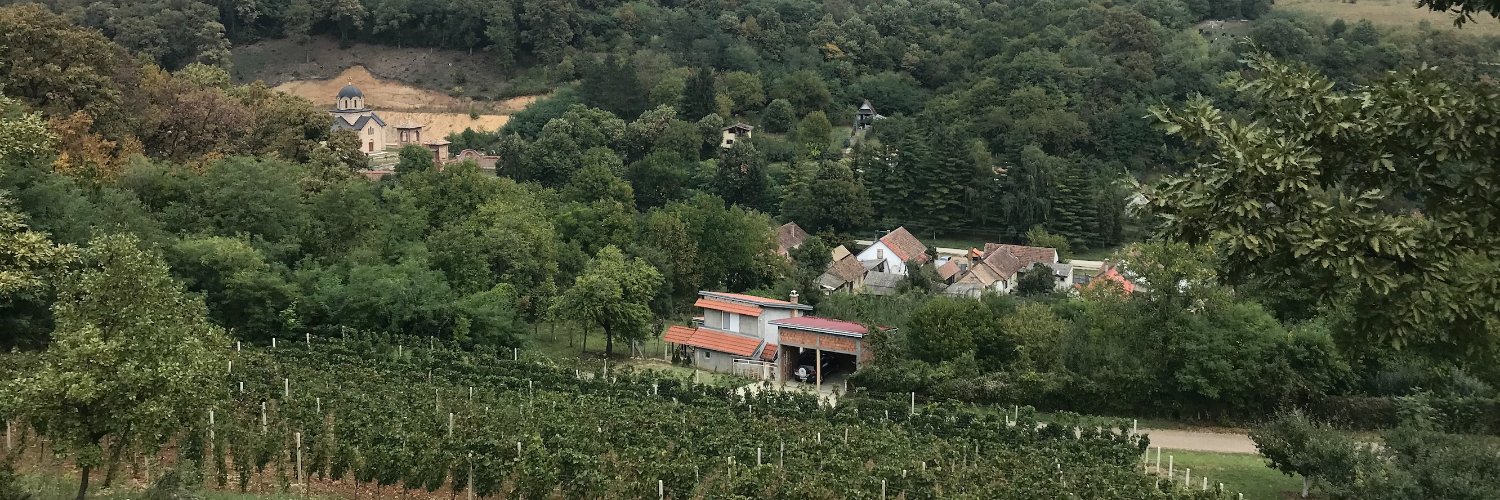 Simba_ReFi_Meme_Token banner