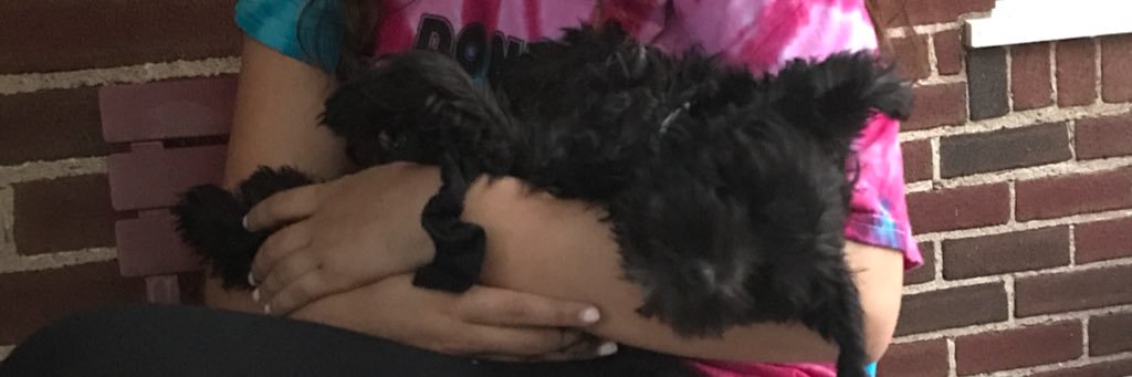 ShitisasaysBest's profile banner image