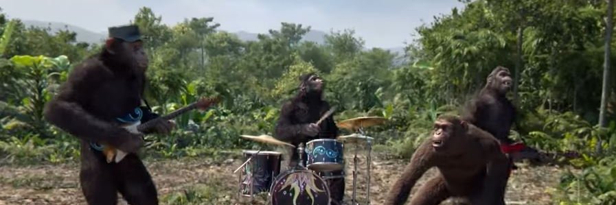 bn3monkey's profile banner image