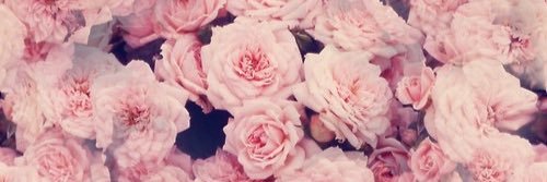 lapetitemariec's profile banner image