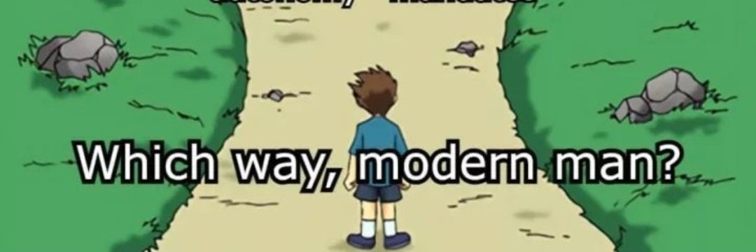 Strick Wallace banner