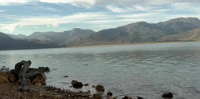 Louis-Bresler Knipe banner