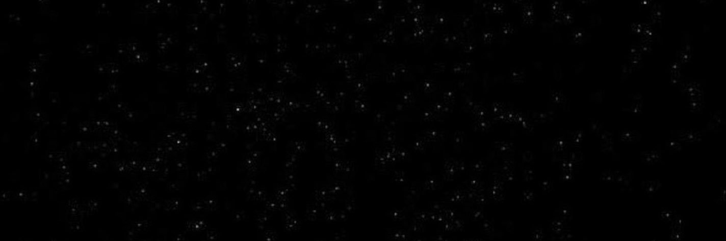m0nicats's profile banner image