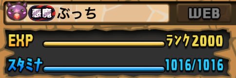 pad_Bucchi's profile banner image
