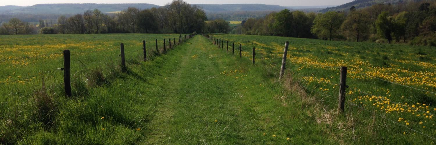 Stéphanie Laurent banner