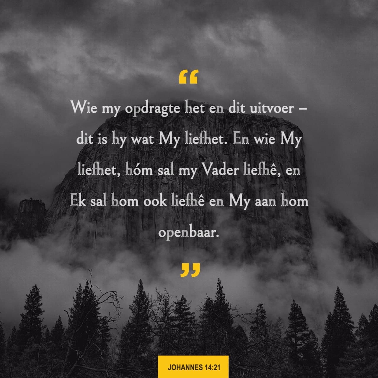 dirkderduisend's profile banner image