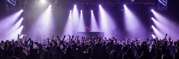 SkinkDC Profile Banner