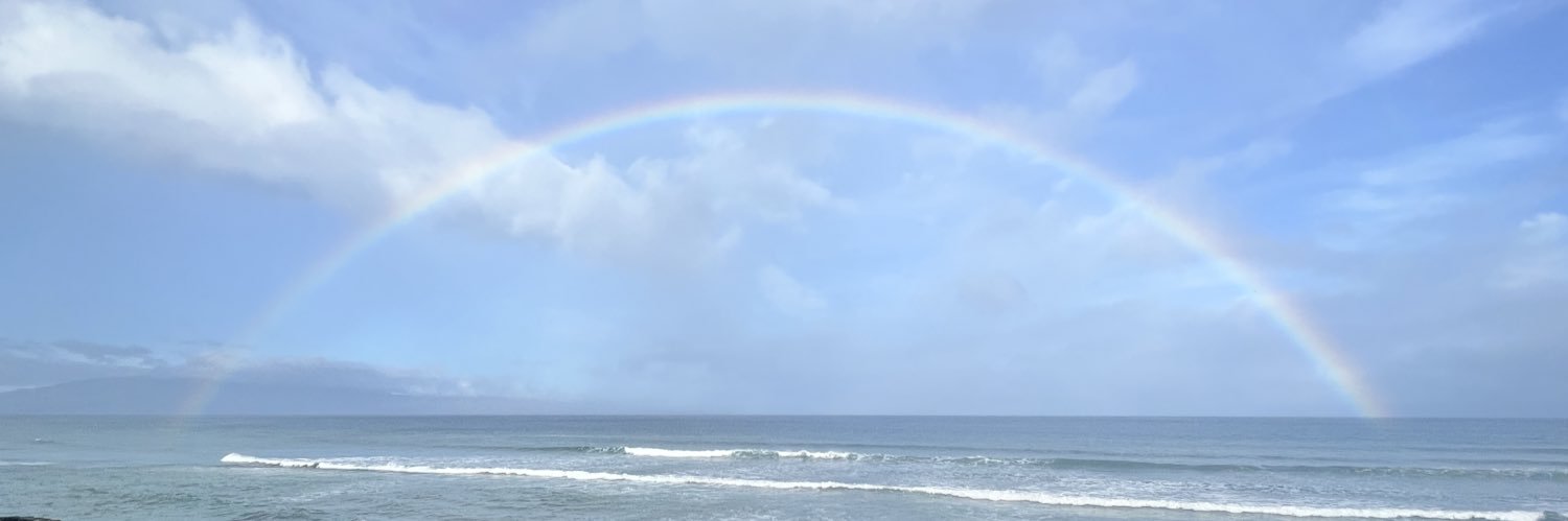 Sarah Storelli banner