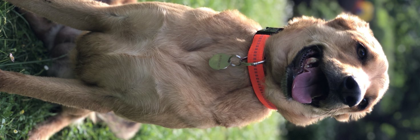 Antholamberti's profile banner image