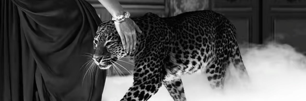 Al_Ashowag's profile banner image