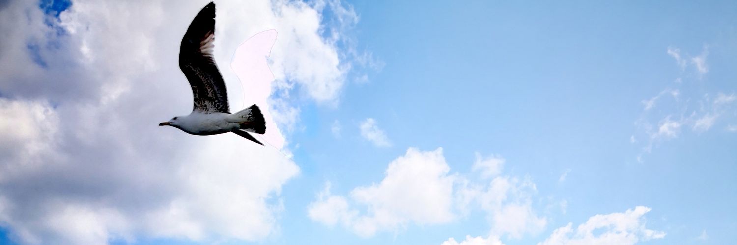 Berayaka's profile banner image