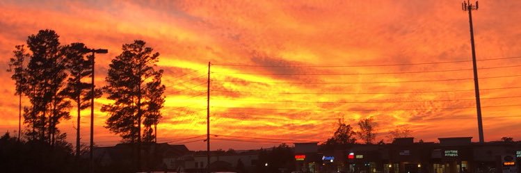 Elizabeth Dobson banner