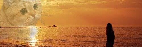 MontlakeMan's profile banner image