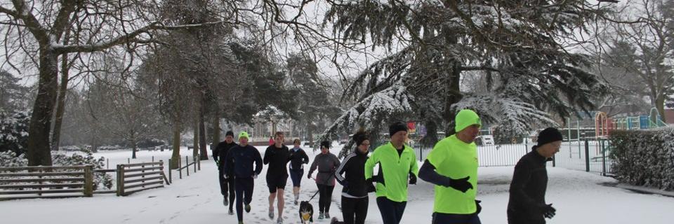 wolvesparkrun's profile banner image