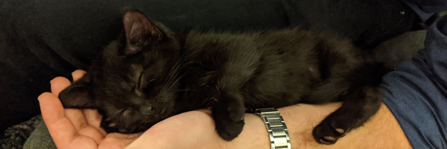 EleanorSays_'s profile banner image