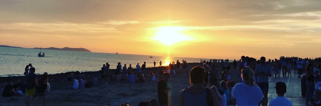 Chris Mitchell banner