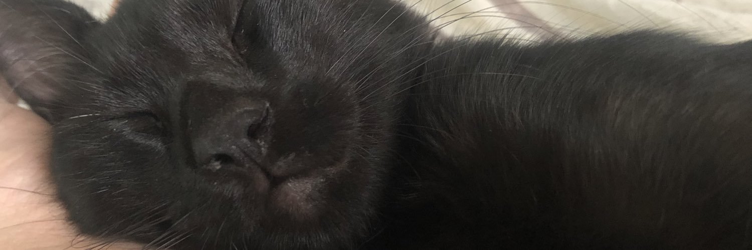 ✨️Miss Culpita✨️ banner