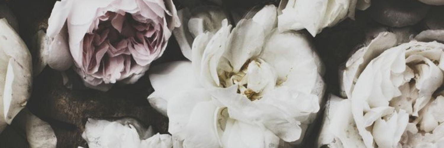 liliabryan's profile banner image