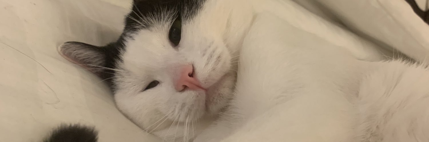 ollga's profile banner image