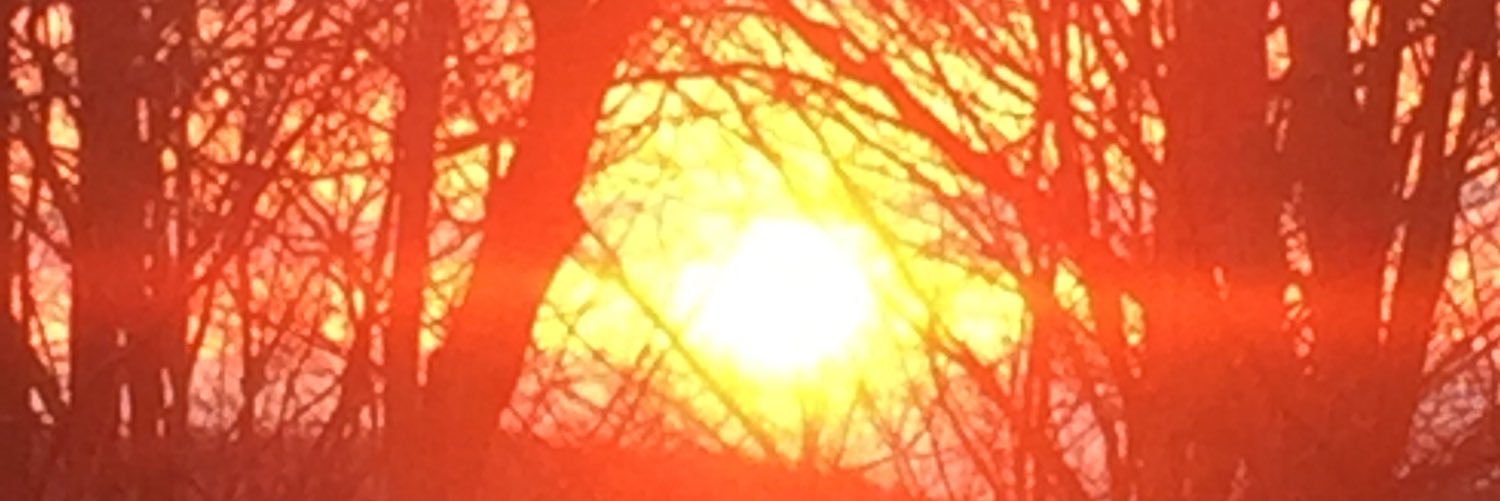 tidbitsftw's profile banner image