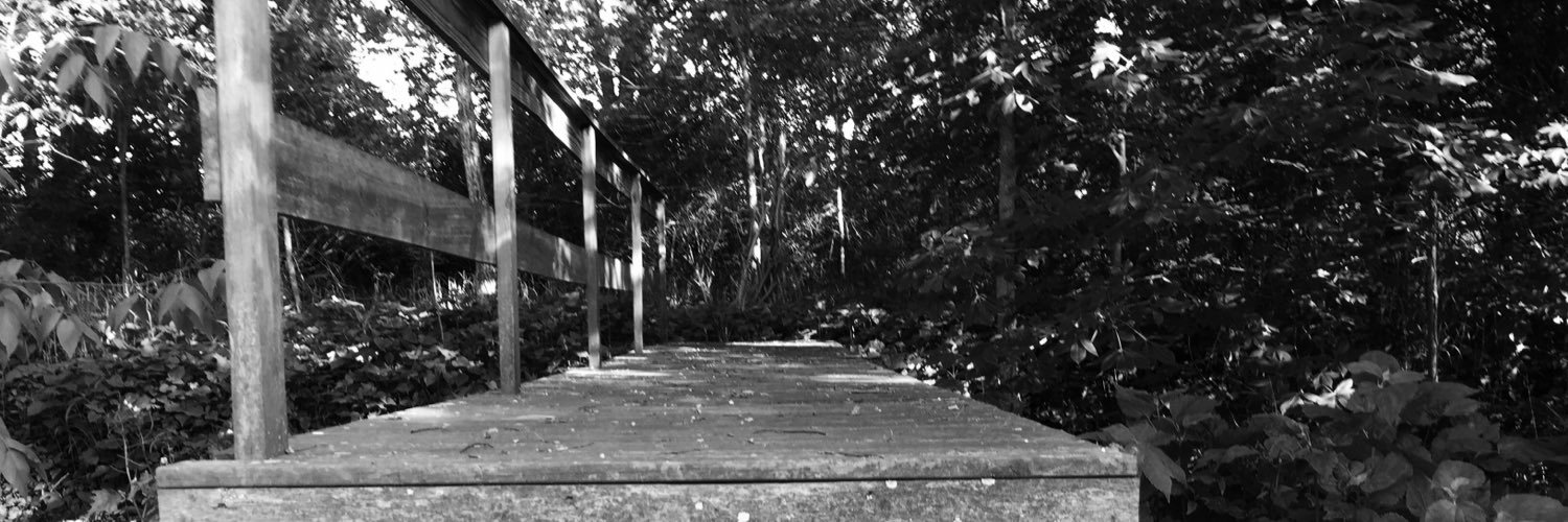 wchs157's profile banner image