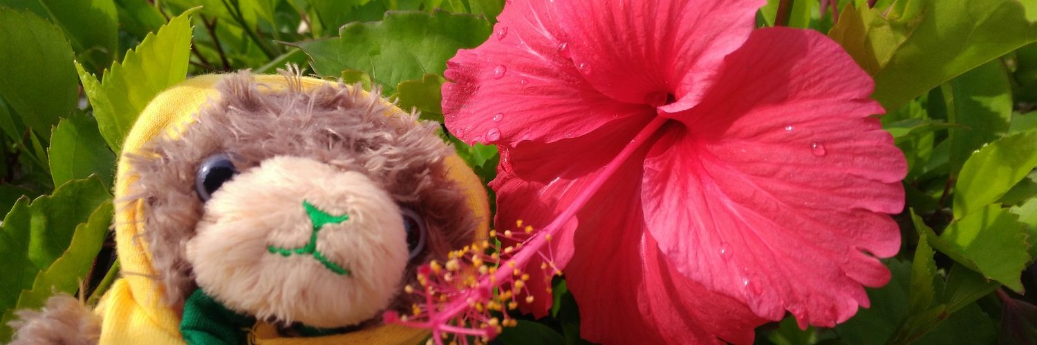 mooo__019's profile banner image