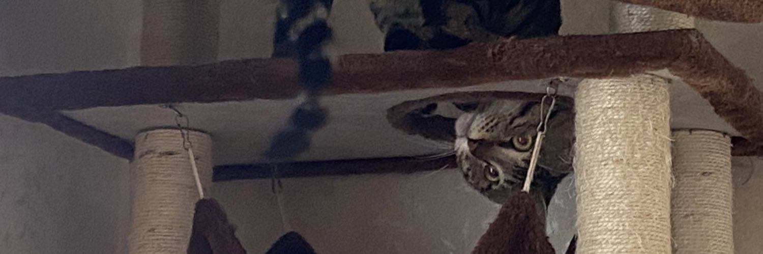 2Plano1's profile banner image