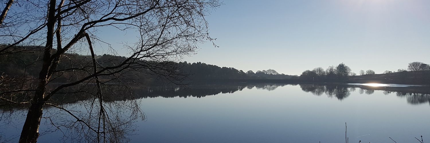 Steve Michael banner