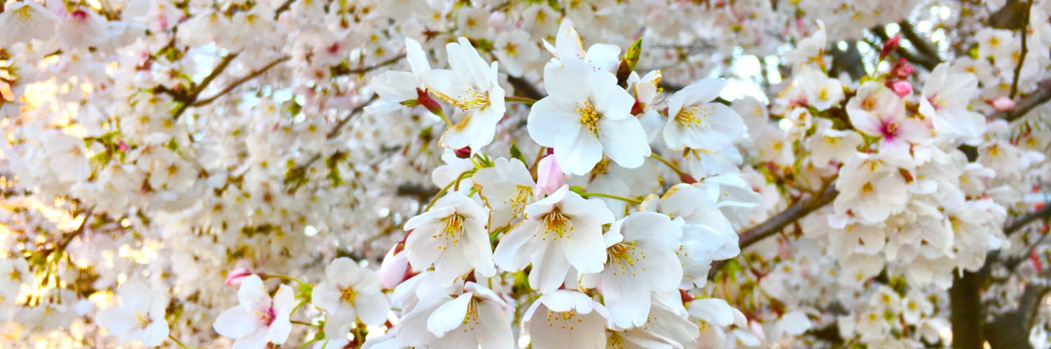 えな🌸相模国 banner