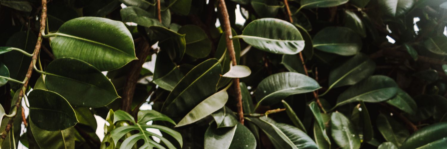 AndreaMS92's profile banner image