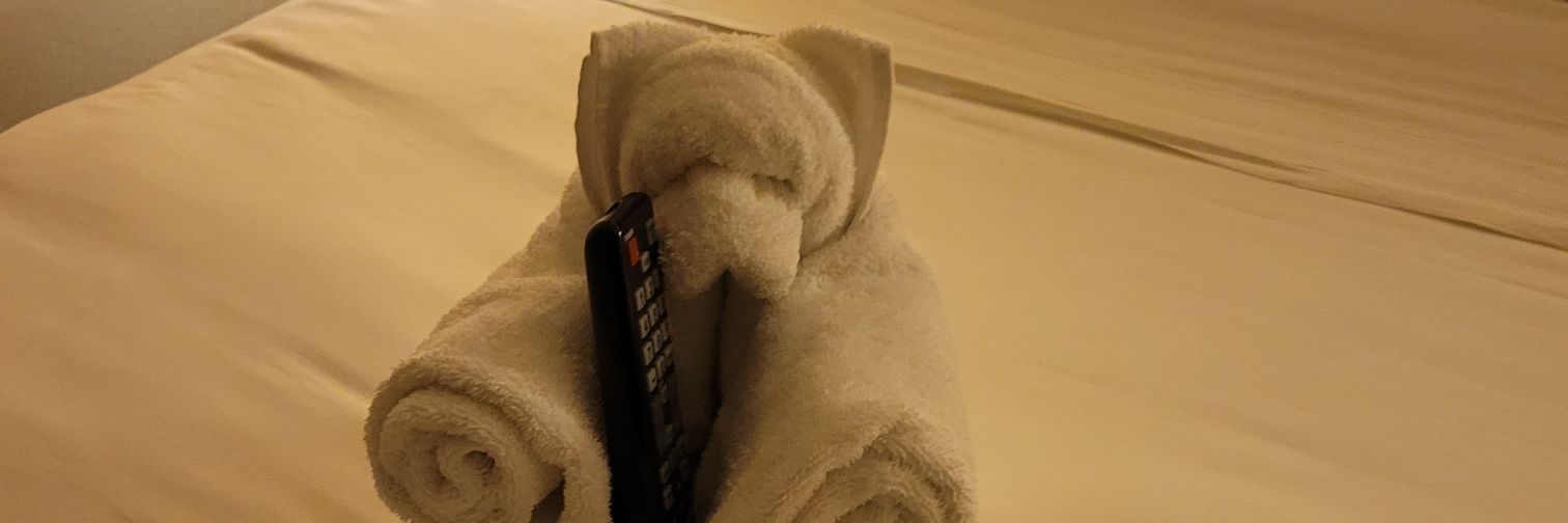 lilrascalz's profile banner image