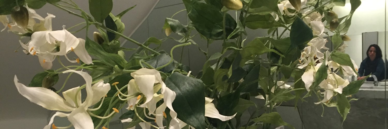 Camilla Vivian Mayer banner