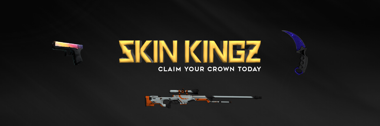 skinkingz's profile banner image