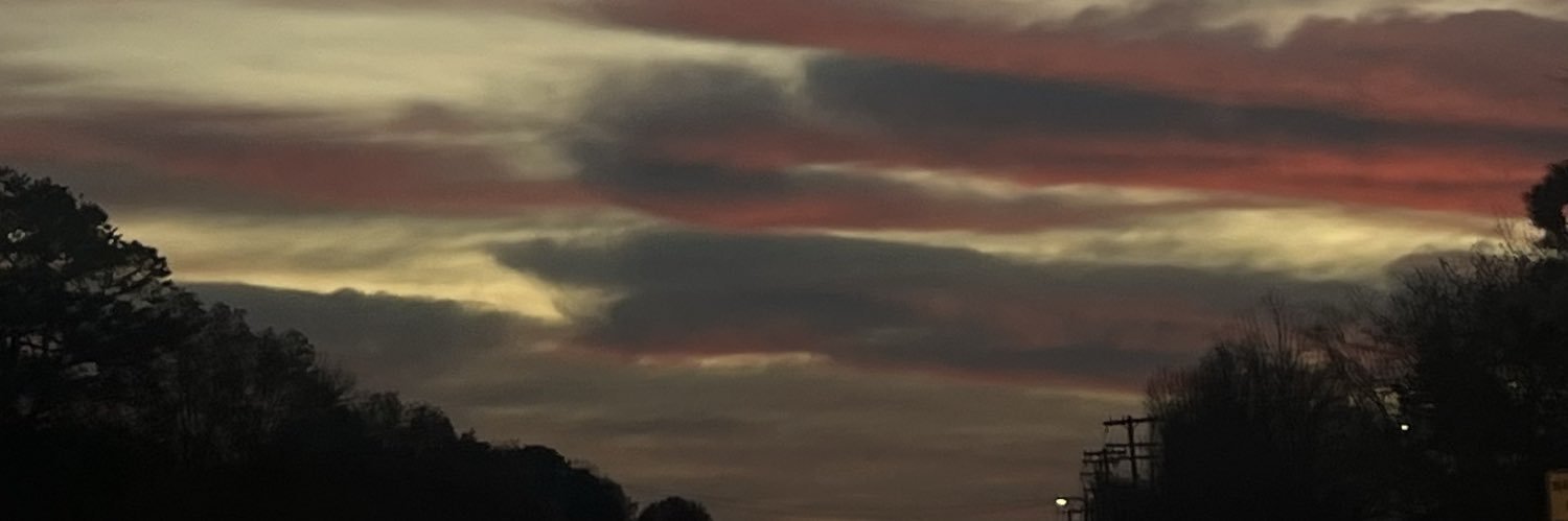Sinsofeuphoria's profile banner image