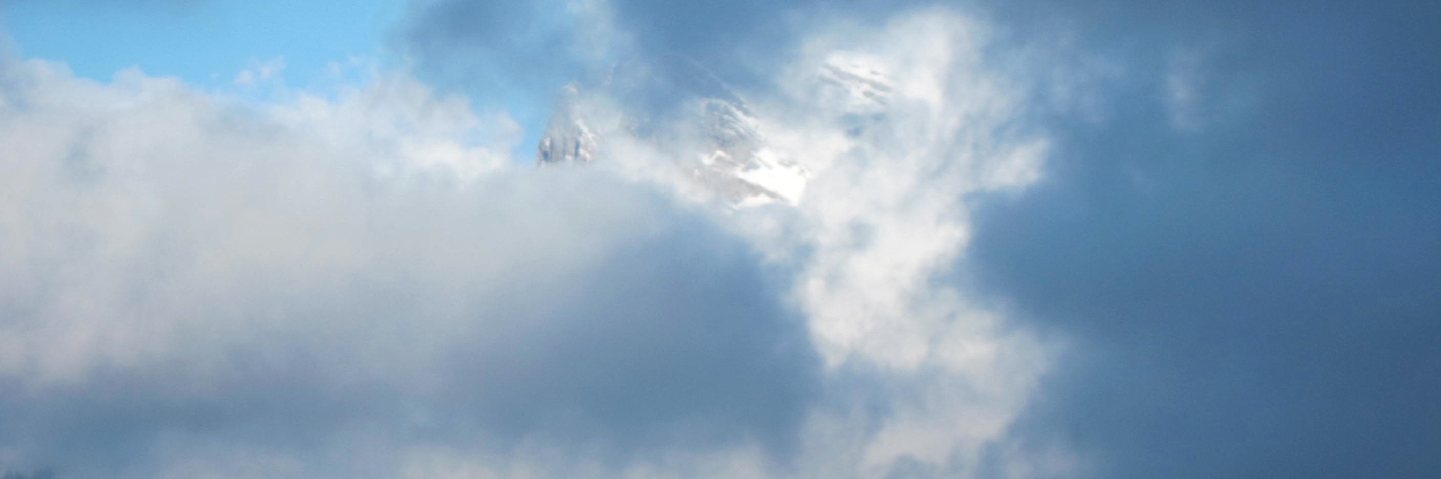 lgabrenner's profile banner image