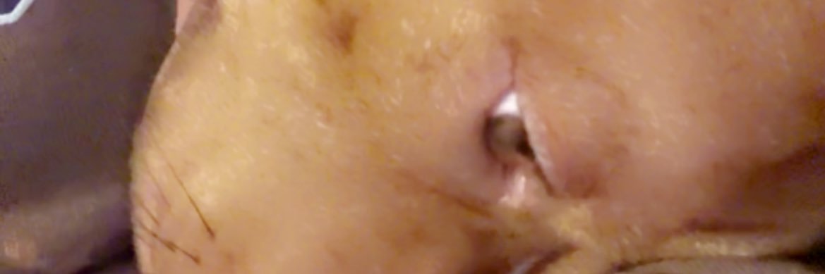 N a e 👸🏾💎 banner