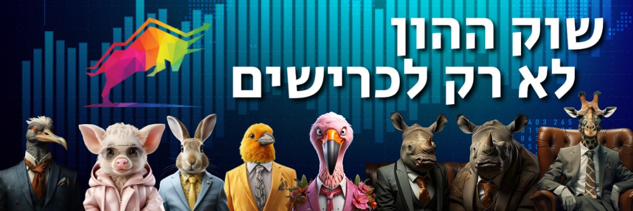 Itay Gal | שור פיננסי banner