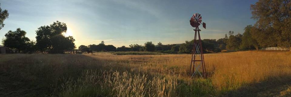 KT_Bard's profile banner image