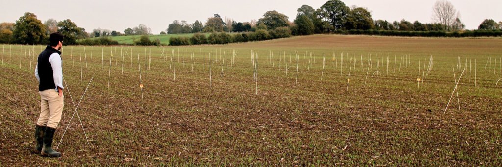 Jon Helliwell banner