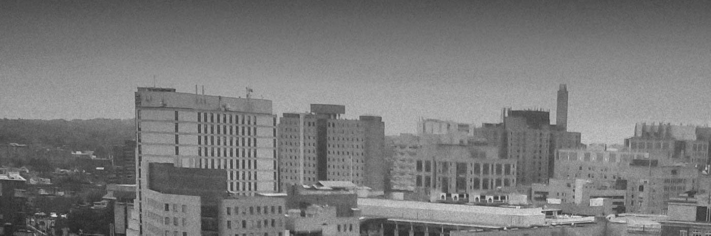 Steve Taylor Witte banner