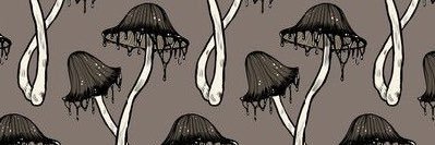 🖤 Грибная Дева 🖤 banner