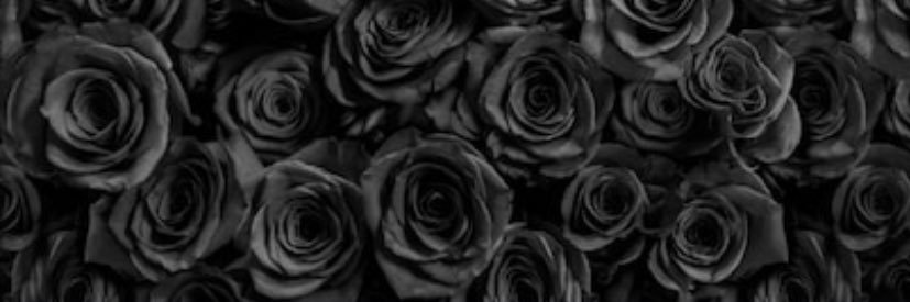 _castlaur_'s profile banner image