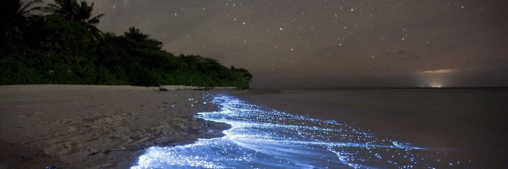 Mimi_zep's profile banner image