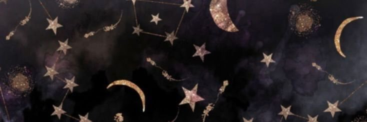 PerseidStardust's profile banner image