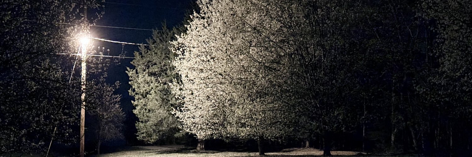 iJustinCross's profile banner image
