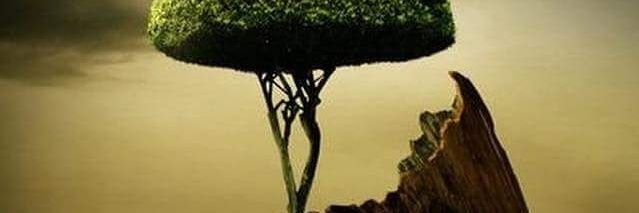 Mayte_fomi's profile banner image