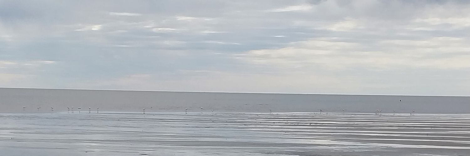 MaryCarmen banner