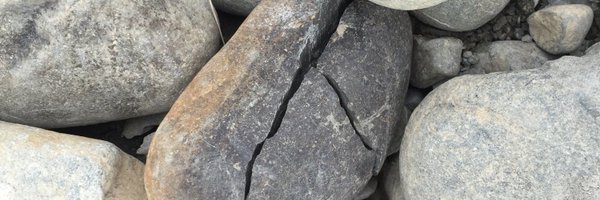 SuseReynolds Profile Banner