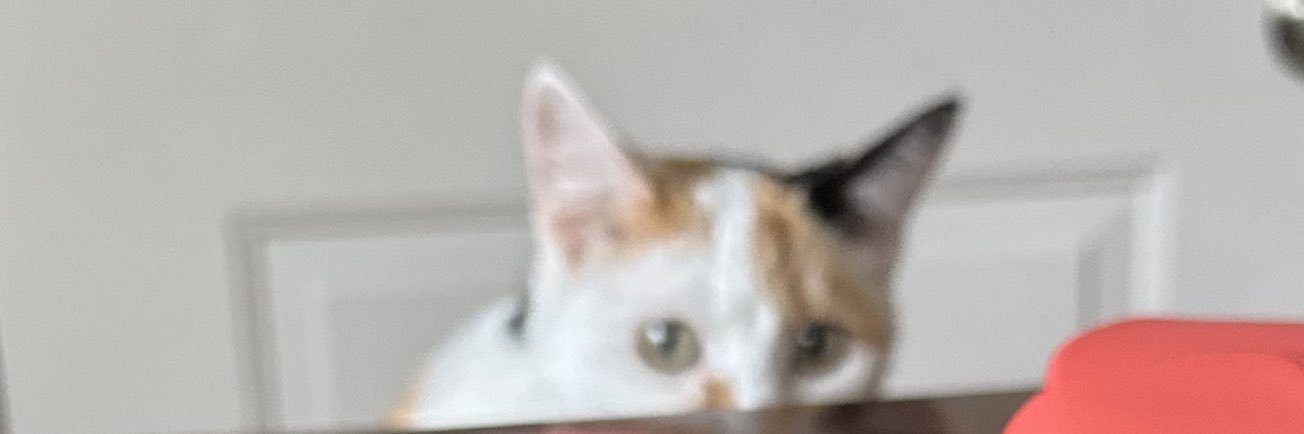 liveforthebooty's profile banner image